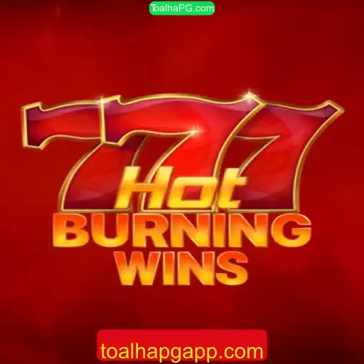 Descubra o Fascinante Mundo de HotBurningWins
